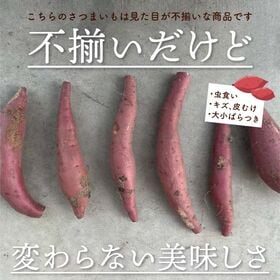 【10kg】不揃い静岡県産 ”さつまいも” 紅はるか