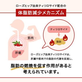 【500ml 24本】つづけるプラス 黒烏龍茶 機能性表示食品