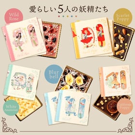 【5種/計8個】Fairies Chocolate フェアリーズチョコレート