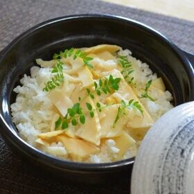 【計405g(220g+185g)】 炊き込み ご飯の素 2種 鶏五目 ＆ たけのこ 2合用 平食品