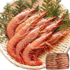 【計2kg/1箱(20-40尾)】有頭アルゼンチン赤えび L1サイズ お刺身用