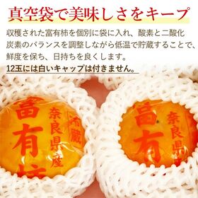 【予約受付】12/20~順次出荷【12玉/Lサイズ】《秀品》富有柿《冷蔵》