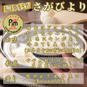 新米(令和7年産)無洗米さがびより3kg