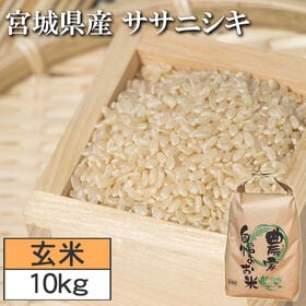 【10kg】令和7年度 宮城県産ササニシキ（玄米）
