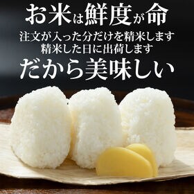 【27kg】令和7年度 宮城県産ササニシキ（白米）