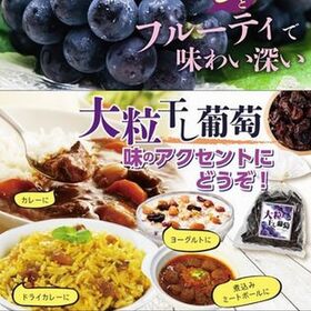 【 270g】ジャンボレーズン （フレーム種） ドライフルーツ《チリ産 》