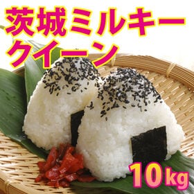 【10kg (5kg×2袋)】令和7年産 新米 茨城県産ミルキークイーン