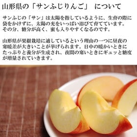 【予約受付】12/10~順次出荷【約3kg(10~12玉)】 山形県産りんご サンふじ 秀品