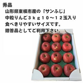 【予約受付】12/10~順次出荷【約3kg(10~12玉)】 山形県産りんご サンふじ 秀品