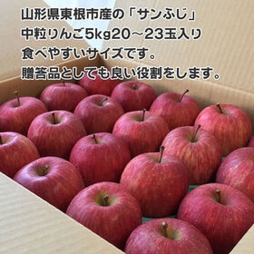 【予約受付】12/10~順次出荷【約5kg(20~23玉)】 山形県産りんご サンふじ 秀品
