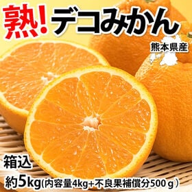 【予約受付】2/5~順次出荷【箱込約5kg】熊本県産 デコみかん（傷あり、不揃い、ご家庭用）