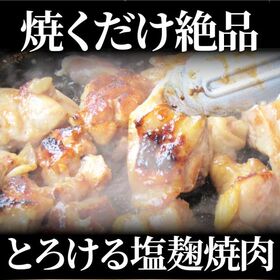 【6kg (500g×12)】ジューシー鶏ももの塩麹漬け 焼肉（乳酸菌入り）