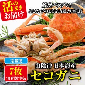 週末土日着で出荷【7枚×(130-140g)】山陰沖日本海産...