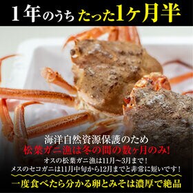 週末土日着で出荷【7枚×(110-120g)】山陰沖日本海産 セコガニ(ボイル)