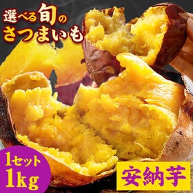 【1kg】選べるさつまいも 【種子島産安納芋】※家庭用(傷あり サイズ不揃い) | 安納芋を選ぶならやっぱり本場・種子島産！