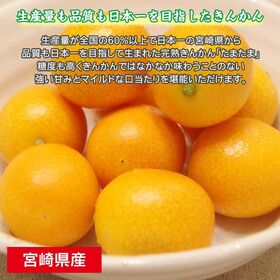 【予約受付】1/15~順次出荷【3kg前後】宮崎県産 きんかんたまたま ※サイズお任せ