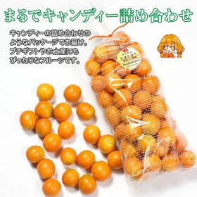 【予約受付】1/15~順次出荷【1kg前後/M~2Lサイズ】宮崎県産 きんかんたまたま