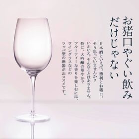 【720ml×5本】全て純大ワイングラスで飲みたい［JS13］