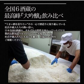 【720ml×10本】6蔵10本　全て純米大吟醸（原酒5本入り）[JS6]