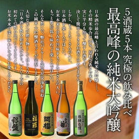【720ml×5本】全て純米大吟醸（原酒1本入り）［JS19］