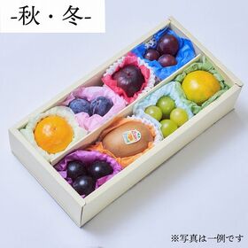 【予約受付】12/11~12/13　順次出荷　フルーツボックス