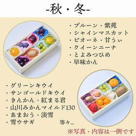 【予約受付】12/18~12/20　順次出荷　フルーツボックス