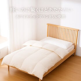 【2026年 福袋】羽毛布団など豪華4点セット（羽毛布団／毛布／敷パット／枕）