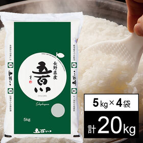 【計20kg/5kgx4袋】新米 令和7年産 長野県伊那産 ...