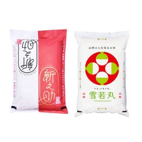 【計10kg/各5kg】新米 令和7年産 新之助&雪若丸 白米イケメンセット | 新之助 雪若丸 セット