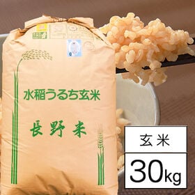 【30kg】新米 令和7年産 長野県八重原産コシヒカリ JA佐久浅間 1等玄米 | 佐久地方　傑作のお米