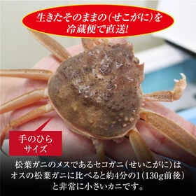 【7枚×(130-140g)】山陰沖日本海産 活きたセコガニ