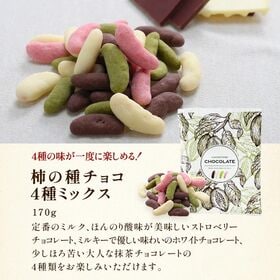 【170g×1袋】柿の種チョコ ミックス