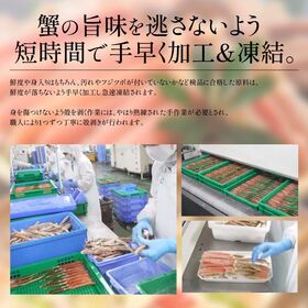 【1.8kg(600g×3箱/総重量2.25kg)】ズワイガニ 生 カット済み