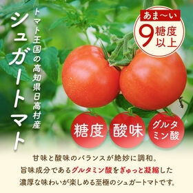 【個包装26包】高知県日高村のフルーツトマト入りスープ