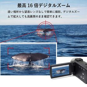 SaiEL 夜間でも撮影できる赤外線付きハンディカメラ SLI-IHC30C