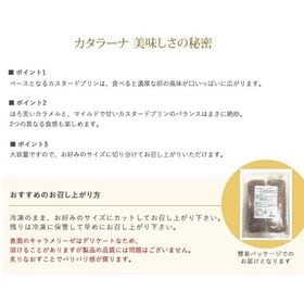 【500g(2個入)】花畑牧場 業務用カタラーナ