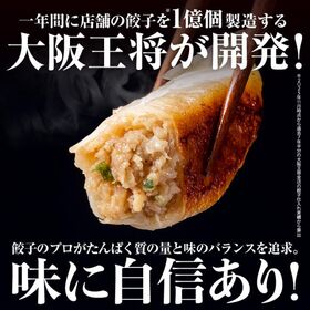 【40個入り】おいしいたんぱく餃子
