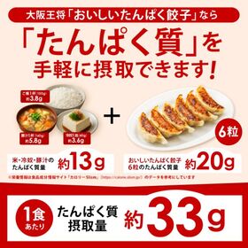 【40個入り】おいしいたんぱく餃子