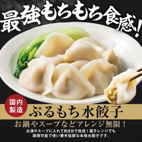 【72個入り】超特盛 ぷるもち水餃子