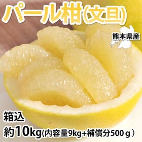 【予約受付】2/10~順次出荷【箱込約10kg】熊本県産 パール柑(文旦) 家庭用(傷あり、不揃い) | パールのような輝きと爽やかな香り