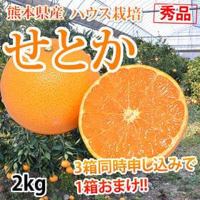 【予約受付】2/13~順次出荷【2kg】秀品 熊本県産 せとか ハウス栽培 | 3箱同時申し込みで1箱おまけ！柑橘の大トロ プレミアム柑橘