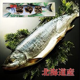 【1.8~2kg】新巻鮭 《北海道産 》銀毛1本化粧箱入れ