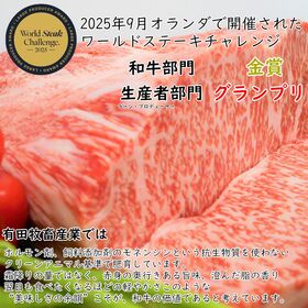 【有田牛】サーロインステーキ(200g×3枚)2025年 世界一のステーキを決める大会で金賞受賞！