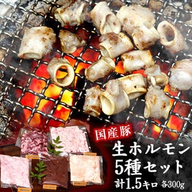 【5種計1.5kg(各300g×1パック)】豚の生ホルモン5種セット | 処理した当日に良い鮮度で凍結！新鮮な豚の生ホルモン