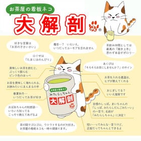 【10袋】『ありがとうございます。神・・・』看板ネコ『みたらしちゃん』／心込めたプチギフト／宇治煎茶