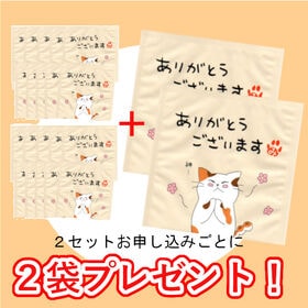 【10袋】『ありがとうございます。神・・・』看板ネコ『みたらしちゃん』／心込めたプチギフト／宇治煎茶