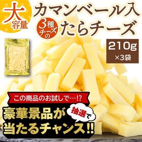 【豪華景品が抽選で当たる！】 たらチーズ 3袋セット .北海道グルメ福袋2026. 【M】 | 3種のチーズを使用！肉厚のチーズは濃厚な味わいで食べ応え抜群！おやつに、おつまみに♪