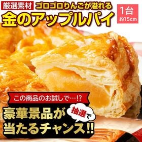 【豪華景品が抽選で当たる！】 金のアップルパイ1個 .北海道グルメ福袋2026. 【M】 | 大きなりんごがゴロッと入ってジューシーな絶品アップルパイです。