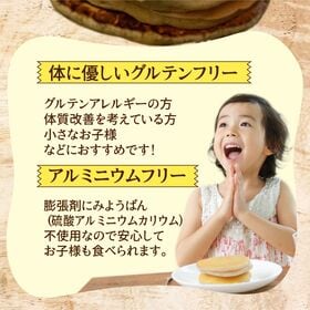 【日替わり数量限定】【340g(170×2袋)】雑穀ホットケーキミックス (小麦粉不使用グルテンフリー)【先行チケット利用NG】