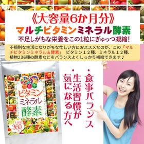 【大容量約6か月分】マルチビタミンミネラル酵素 360粒